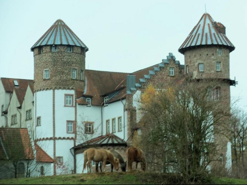 Luxus Appartement Im Schloss Fockelberg Exterior photo